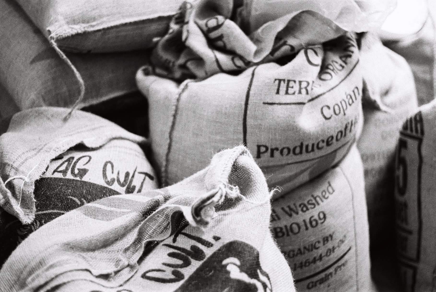 Sacs de café vert du Honduras et de Colombie