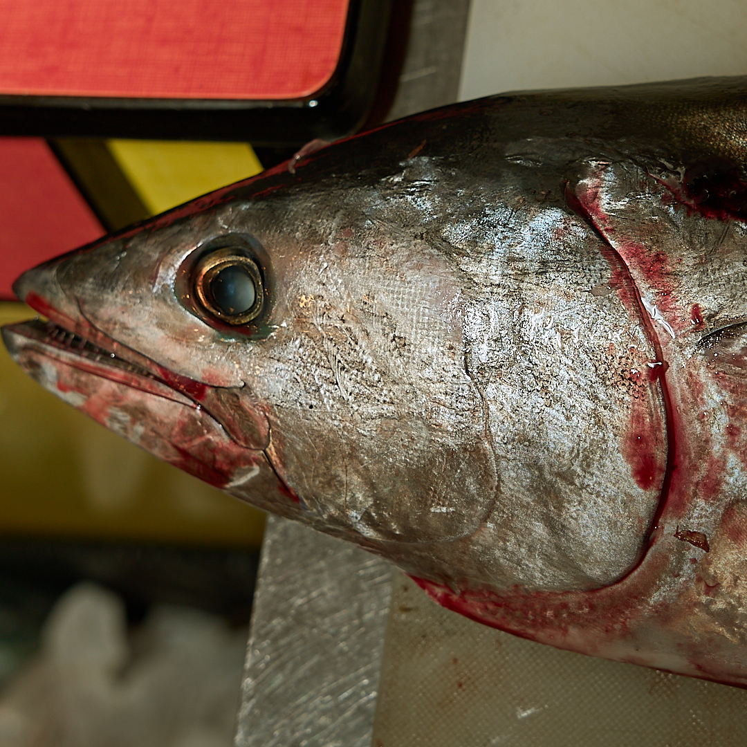 Gros plan sur un poisson frais en cuisine